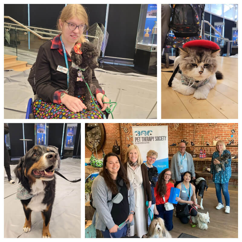 about Pet Therapy Society of Northern Alberta, pets