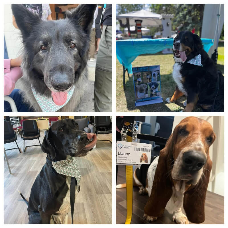 donate to Pet Therapy Society of Northern Alberta, pets